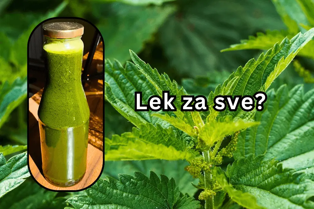 sok od koprive - Vaš Doktor 1