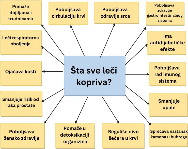 sok od koprive, za sta je dobar sok od koprive - Vaš Doktor