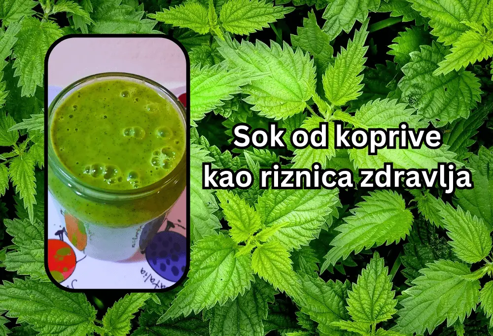 sok od koprive zdravlje, sok od koprive recept, kako se pravi sok od koprive - Vaš Doktor