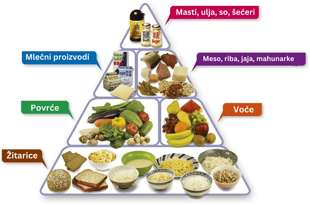 piramida zdrave ishrane - Vaš Doktor