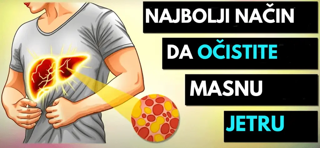masna jetra - Vaš Doktor 1