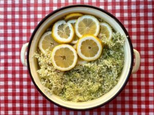 sok od zove, sok od zove recept, sirup od zove, sirup od zove recept, kako se pravi sok od zove, najbolji recepti za sok od zove - Vaš Doktor 1