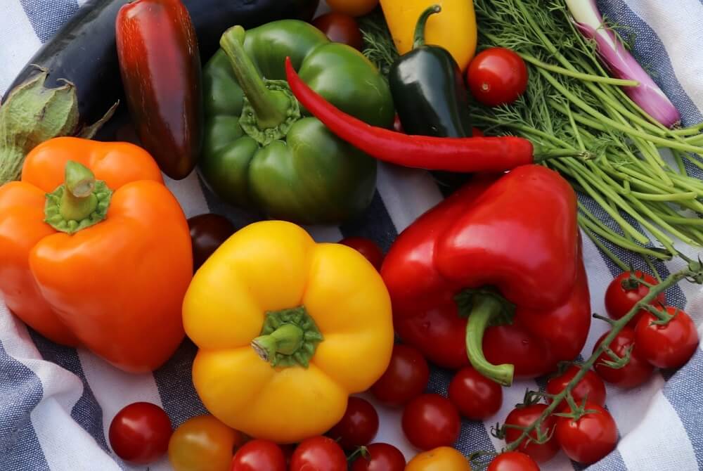 veganska ishrana, veganskirecepti, veganska ishrana za pocetnike, veganska ishrana za sportiste, veganska ishrana iskustva, sta je veganska ishrana - Vaš Doktor 2