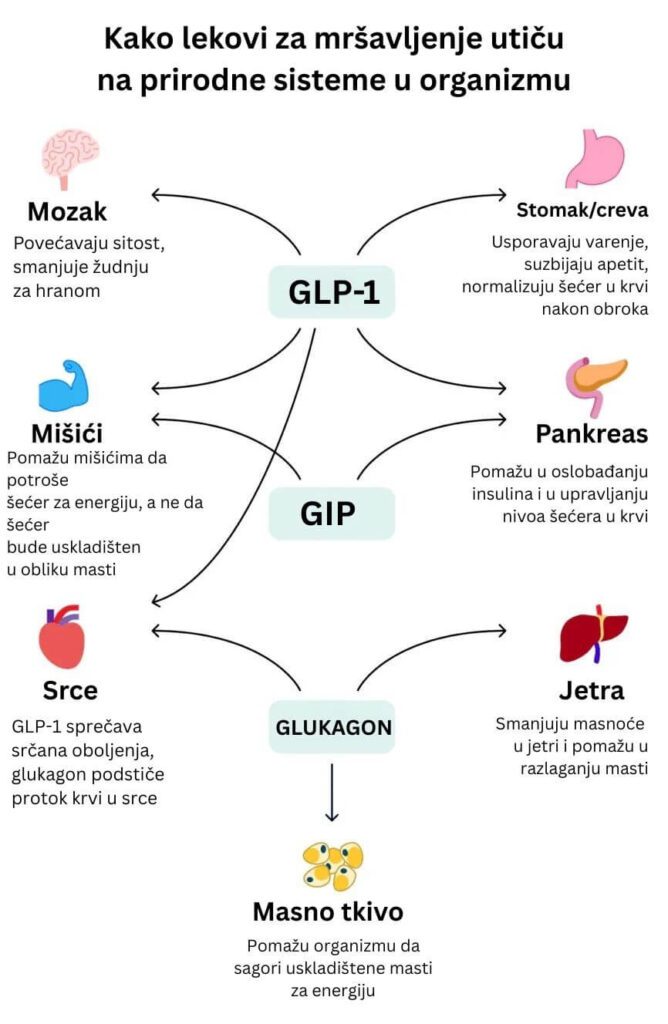 retatrutid lek, retatrutid za mrsavljenje, retatrutide lek, retatrutide Srbija, retatrutide cena - Vaš Doktor 6