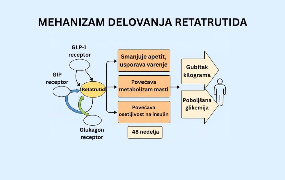 retatrutid lek, retatrutid za mrsavljenje, retatrutide lek, retatrutide Srbija, retatrutide cena - Vaš Doktor 3