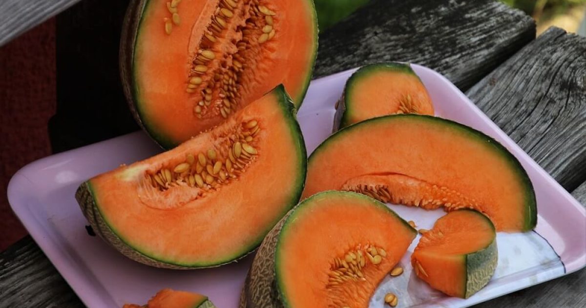 dinja zdravlje, seme dinje kao lek, divlja dinja kao lek, gorka dinja, ananas dinja, dinja za sta je dobra - Vaš Doktor 1