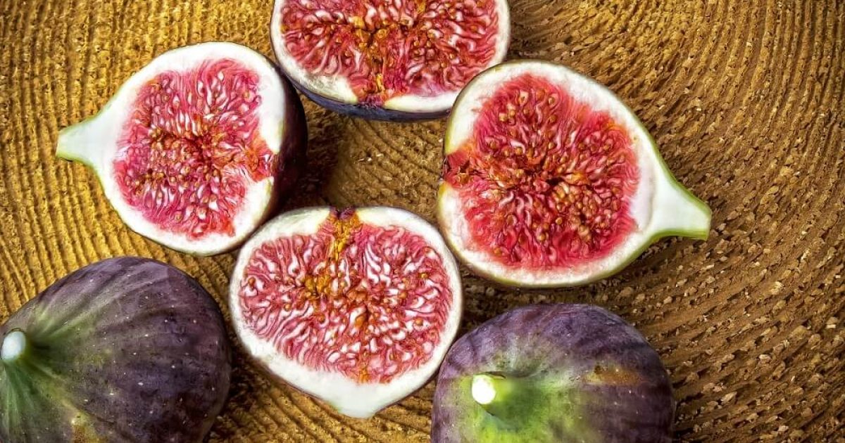 smokva zdravlje, smokva kao lek, suve smokve kao lek, mleko od smokve kao lek, list smokve kao lek, pekmez od smokava kao lek, smokva za sta je dobra, smokve za sta su dobre, suve smokve zdravlje, smokve kalorije - Vaš Doktor 1